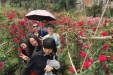 院工会组织职工春游