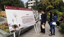 2015年“省医杯”职工摄影书法绘画比赛圆满落幕