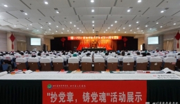 我院召开庆祝中国共产党成立95周年大会