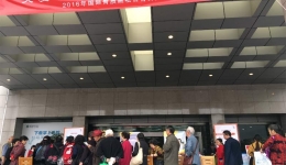 内分泌科举行世界骨质疏松日义诊活动