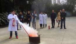 �����ݹ��������ж�����������