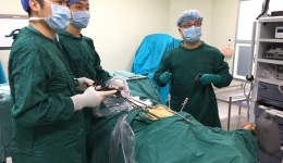 器官移植中心成功实施多例全腹腔镜下并全系膜切除的胰十二指肠切除及血管切除修补术