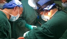 西南首例双蒂腹壁下动脉穿支皮瓣乳房再造术在我院完成