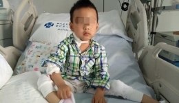 华西都市报：医院千里转运人工肺 30小时救回男童