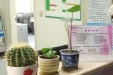 绿源生长日记