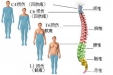 脊髓损伤康复治疗