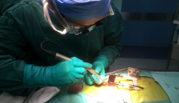 我院完成西南地区首例皮质骨螺钉固定微创治疗腰椎管狭窄症