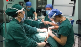 我院在省内率先开展儿童口腔全麻手术治疗