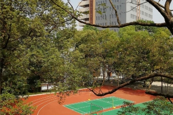 优美的校园环境