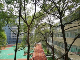 优美的校园环境