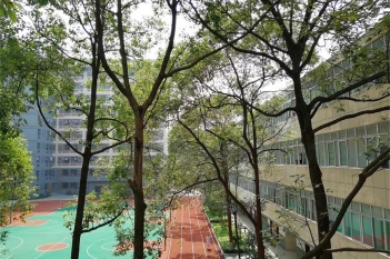 优美的校园环境