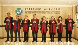 新春贺词：戊戌奋发竞超越  己亥扬帆搏一流