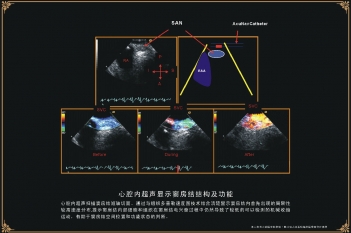 窦房结结构及功能