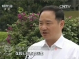 CCTV13焦点访谈：医联体带动家庭医生签约服务