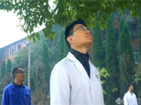 香樟树下