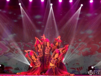 2018春晚-花儿为什么这样红（天府新区医院）