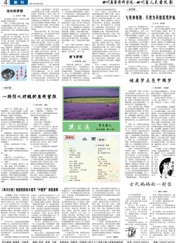 第四版