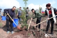 院党委组织职工参加龙泉山城市森林公园植树添绿活动