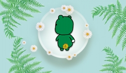 “菊花”背后的故事
