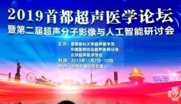 超声科参加2019首都超声医学论坛获佳绩
