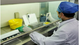 你战前线，我守后方 ——检验科血液病组抗疫工作纪实