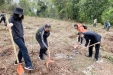 院党委组织职工到龙泉山城市森林公园参加“包山头”植树活动