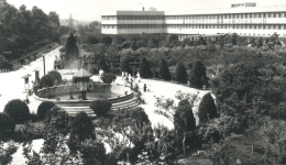 【省医史话】流淌在时光长河里的省医记忆（1978-1988）