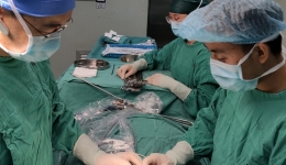 胸外科开展日间手术  推动患者快速康复