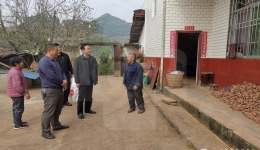 Ժ��ί��ί����ί��ǻƷ��˸���¤ ��չ�������