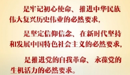 习近平深刻阐述开展党史学习教育的重大意义