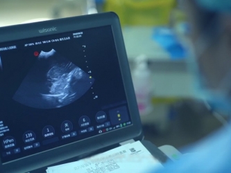 超声科——行稳致远 声闻九皋