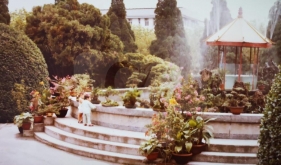 ʡҽԺ�������еļ�԰