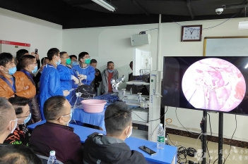 神经外科内镜技术临床应用培训班