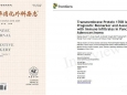 肝胆胰外科&细胞移植中心一项有关胰腺癌预后生存研究成果发表