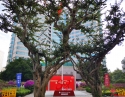 建院80周年