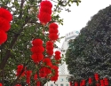 年味
