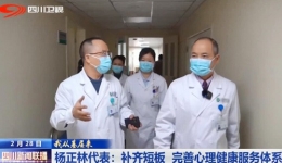 四川观察：四川新闻联播丨杨正林代表：补齐短板 完善心理健康服务体系