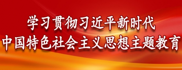 学习贯彻习近平新时代中国特色社会主义思想主题教育