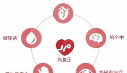 世界高血压日，高血压预防知多少？