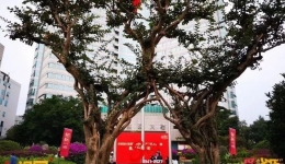 【省医史话】流淌在时光长河里的省医记忆（2016-2021）（上篇）