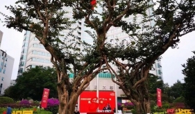 ��ʡҽʷ����������ʱ�ⳤ�����ʡҽ���䣨2016-2021������ƪ��