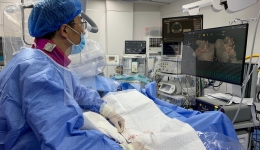 心血管内科成功开展脉冲消融治疗房颤新技术