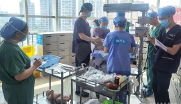 东院三个党支部联合开展“护佑健康新生命，真抓实练强技能”主题党日活动