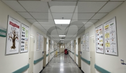 烧伤科打造文化墙，营造科普宣传新氛围