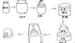 盘点奶类家族成员！你了解它们吗？