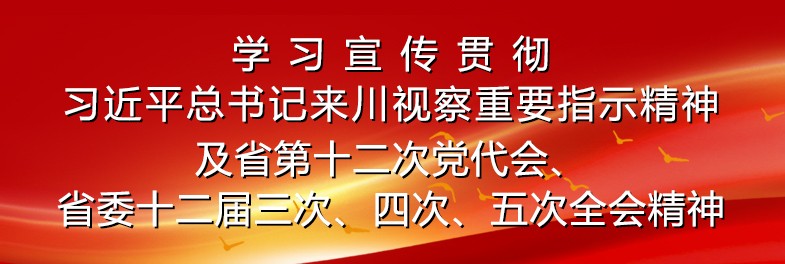 学习宣传贯彻习近平总书记来川视察重要指示精神