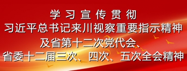 学习宣传贯彻习近平总书记来川视察重要指示精神