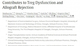 胃肠外科一项移植免疫研究新成果在国际著名期刊AJT在线发表