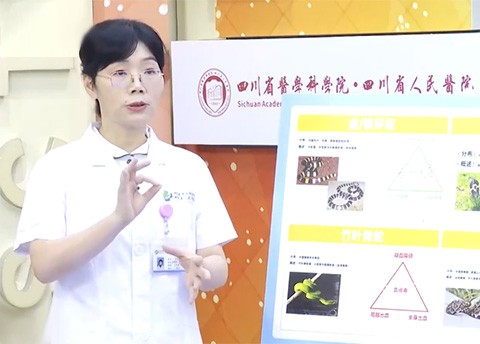 20250614：蛇伤急救的黄金操作