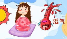 湿气爆表！这些“加湿”行为要叫停！